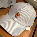 Winnie The Pooh Hat