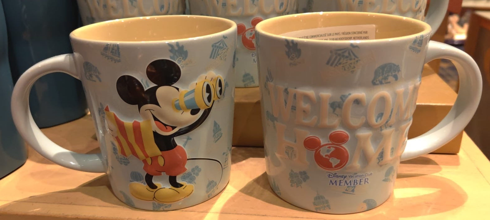 Welcome Home Disney Vacation Club Member Mug