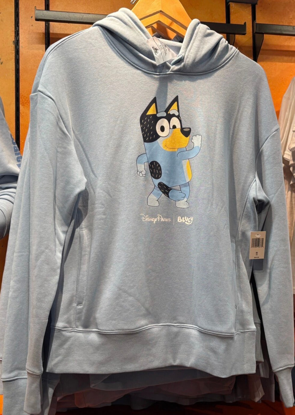 Walt Disney World Bandit Adult Hoodie