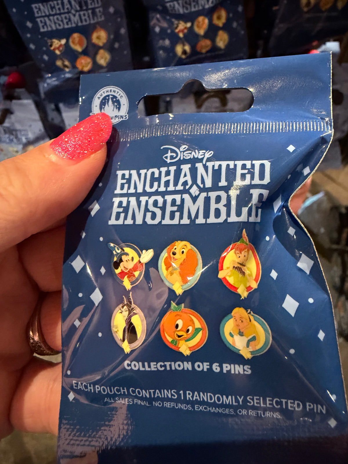 Enchanted Ensemble Mystery Pin Set