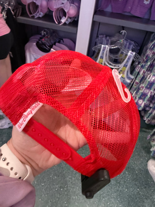 Disney Hat