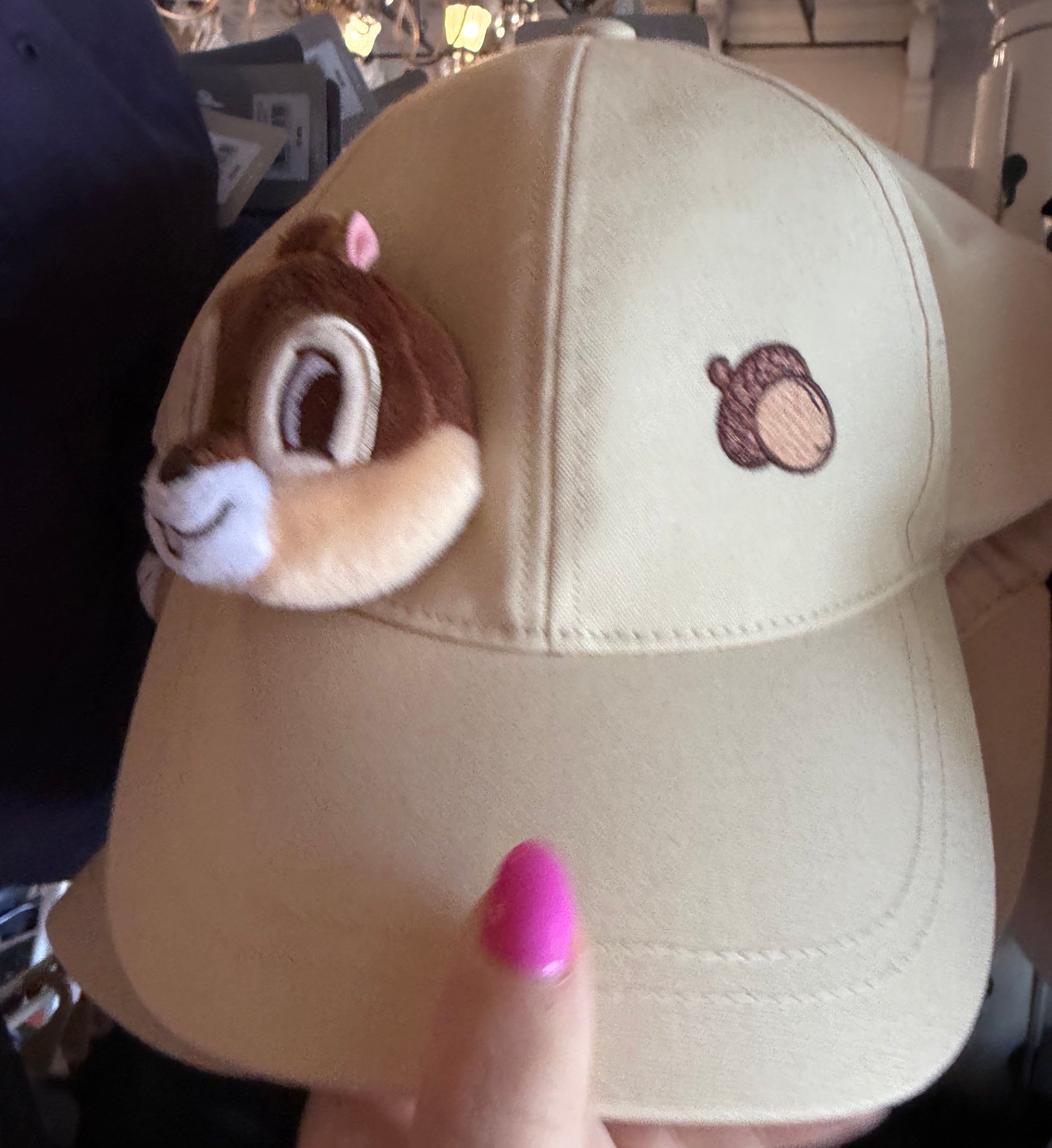 Chip & Dale 3D Hat