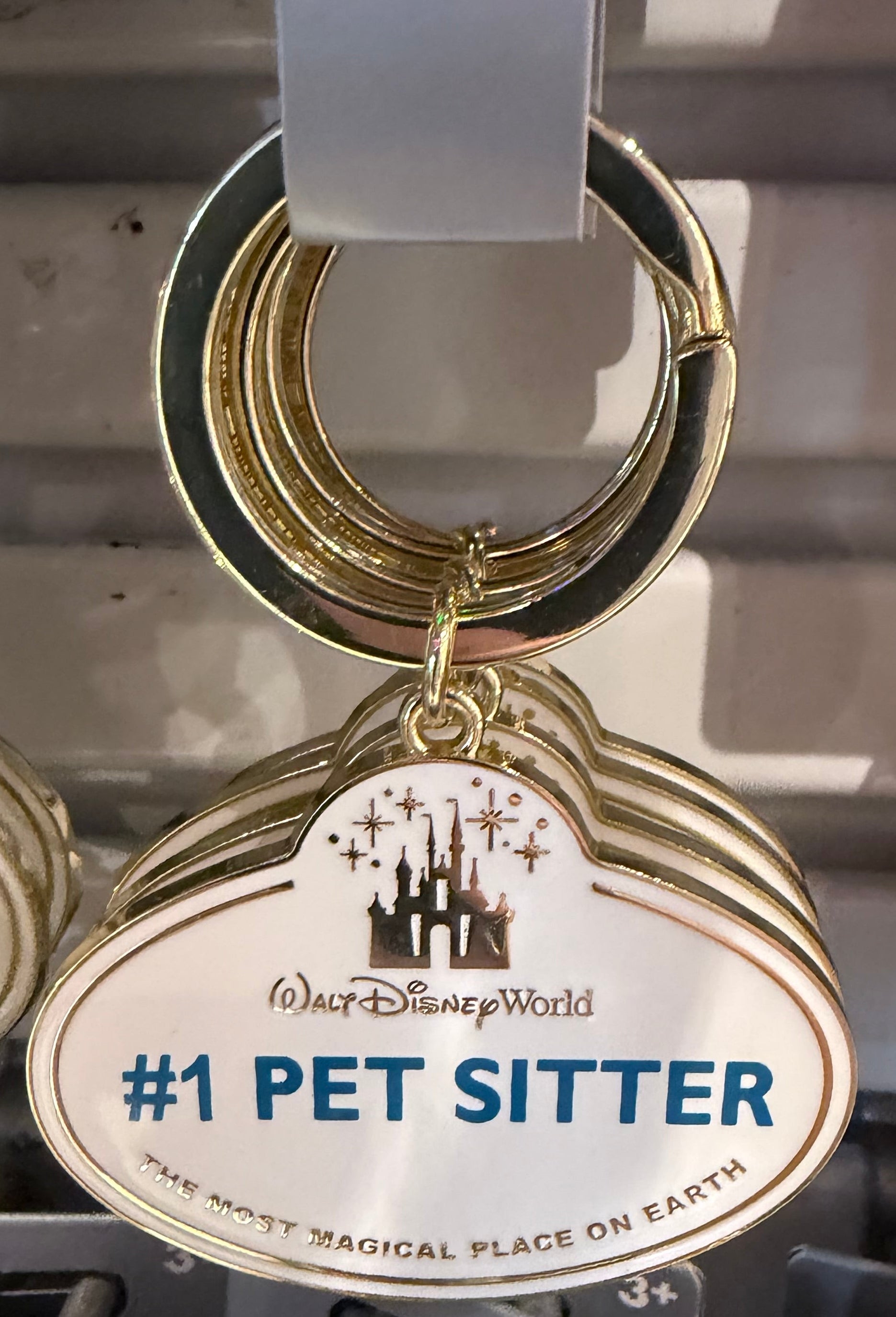 Walt Disney World Cast Member Keyring - 11 Styles Available
