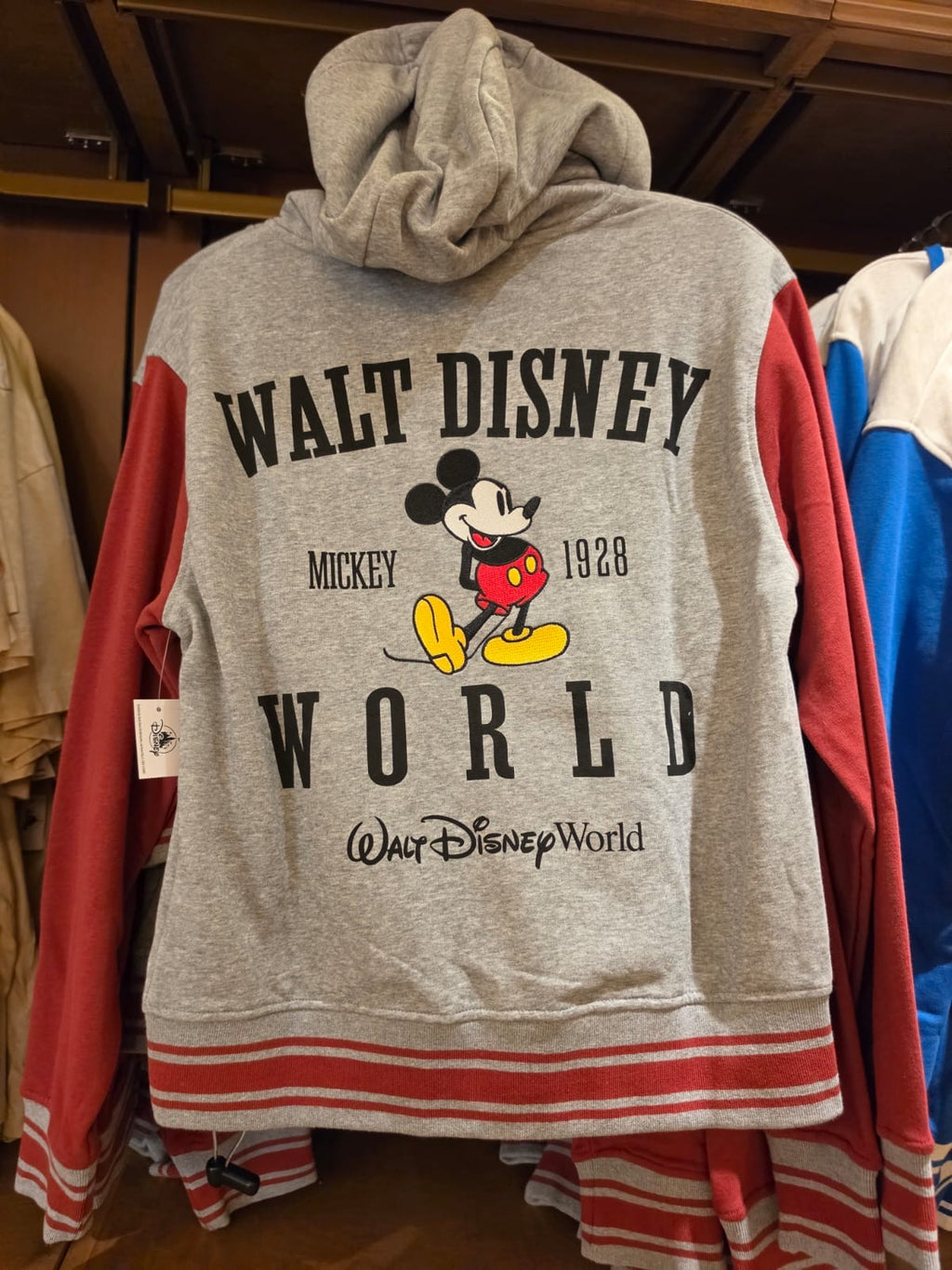 Walt Disney World Hoodie