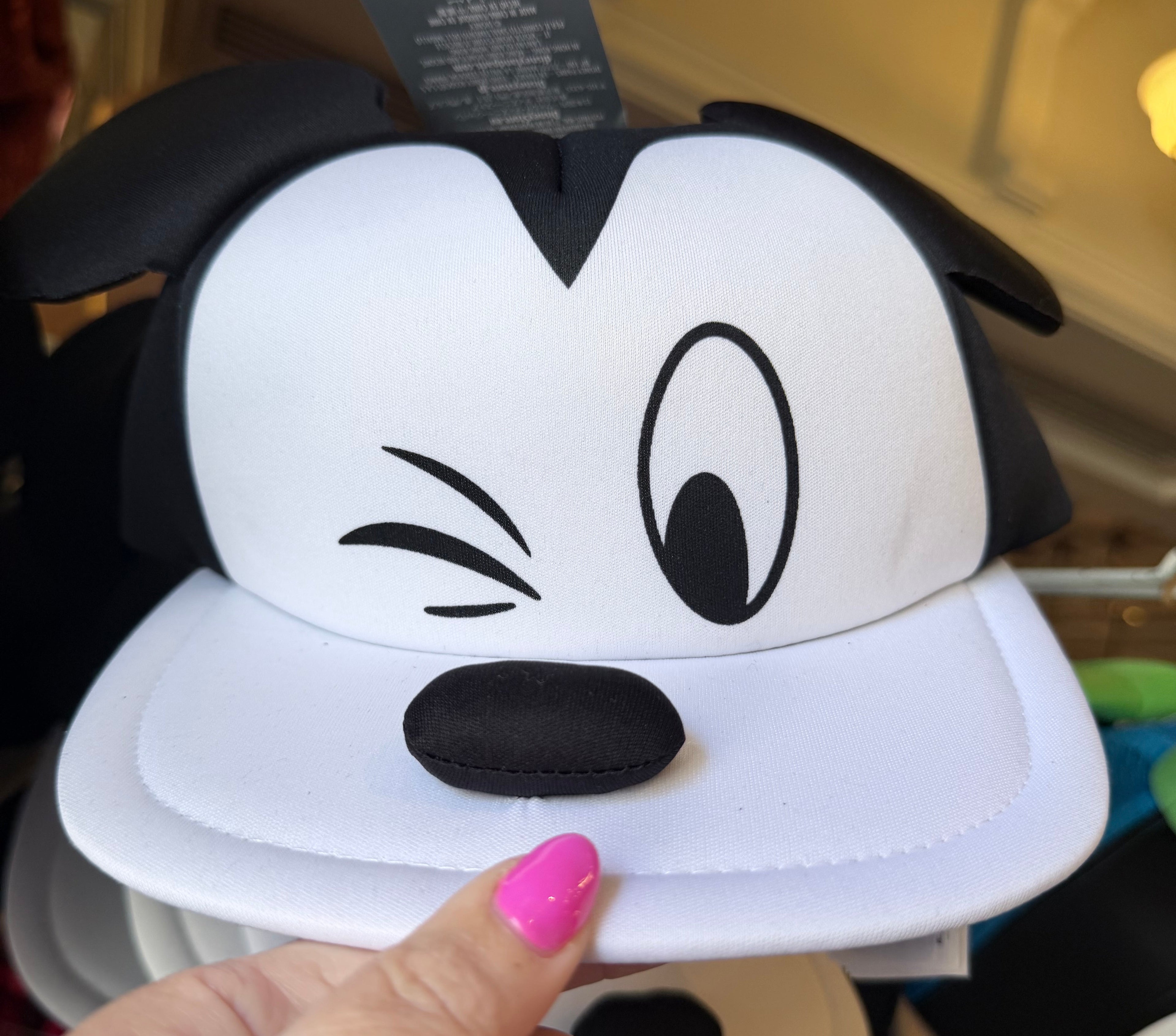 Mickey Hat