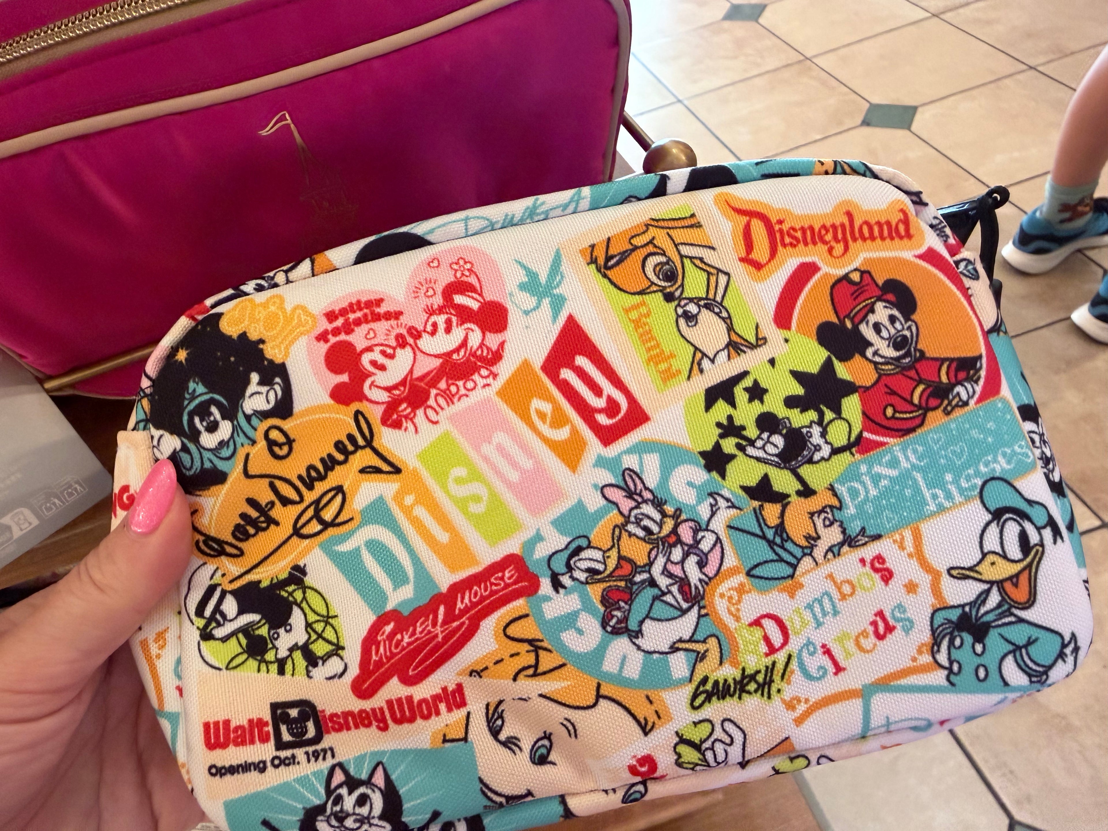 Walt Disney World Picture Bumbag