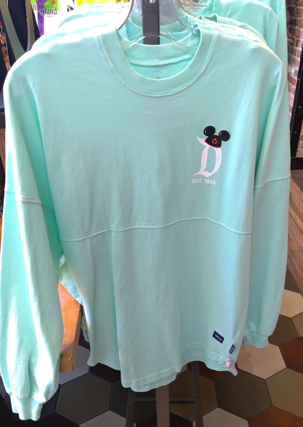 Disneyland Spirit Jersey