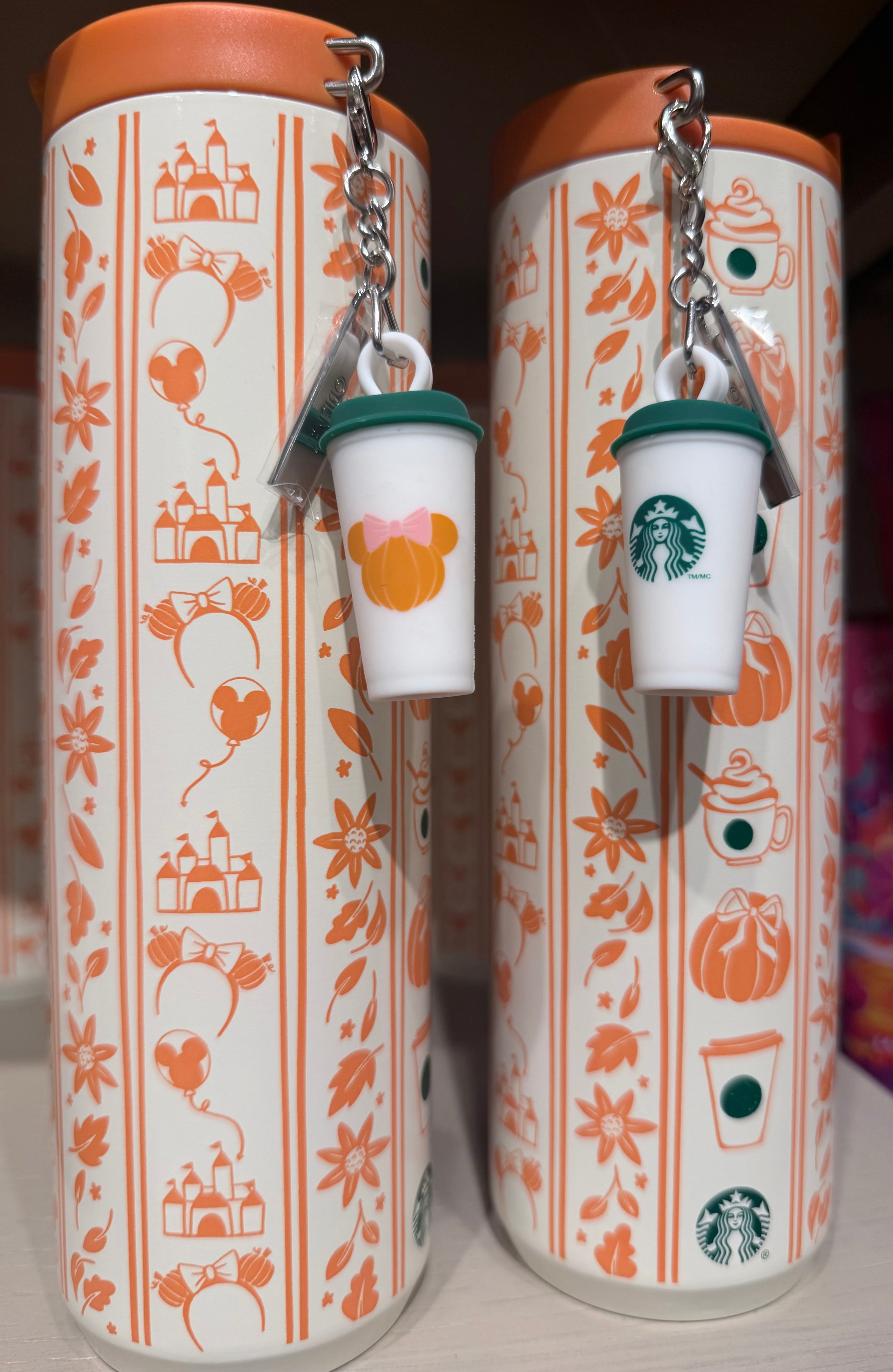 Starbucks Fall Stainless Steel Bottle
