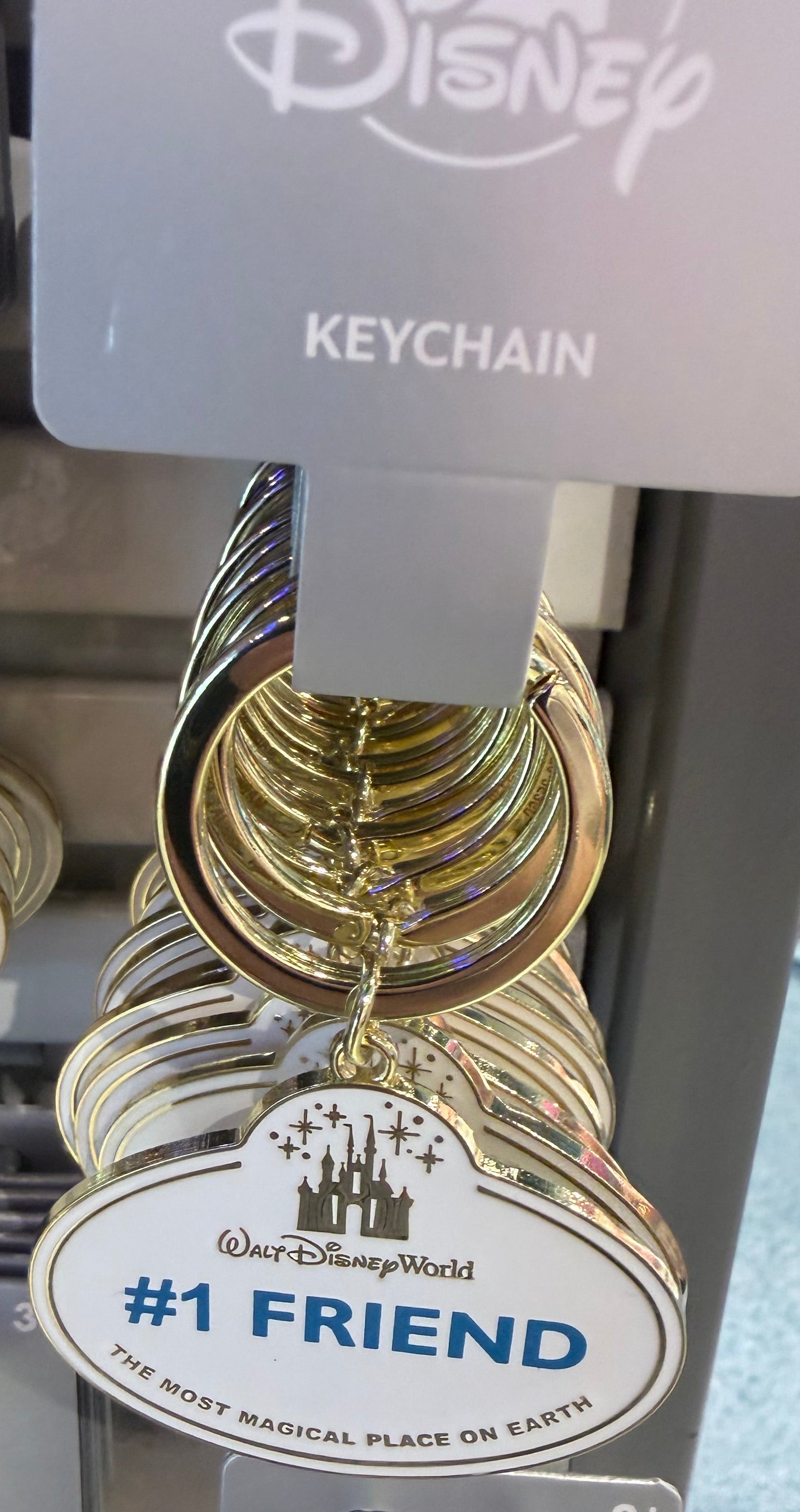 Walt Disney World Cast Member Keyring - 11 Styles Available