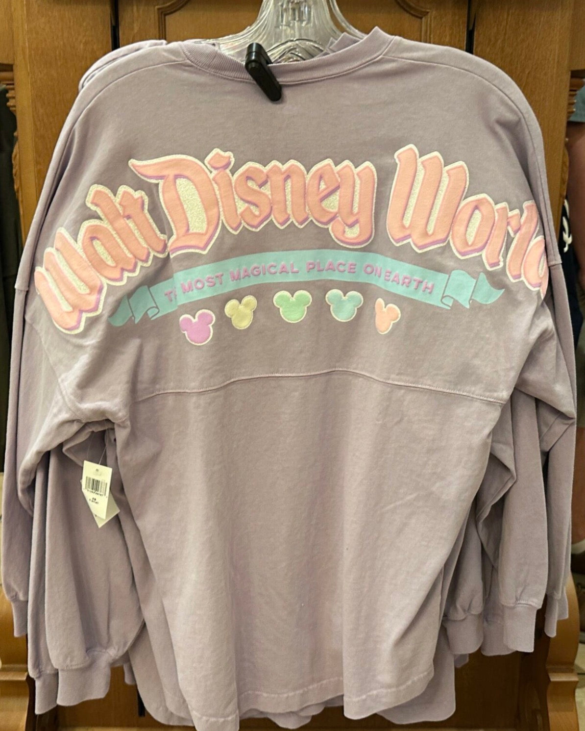 Walt Disney World Pastel Spirit Jersey