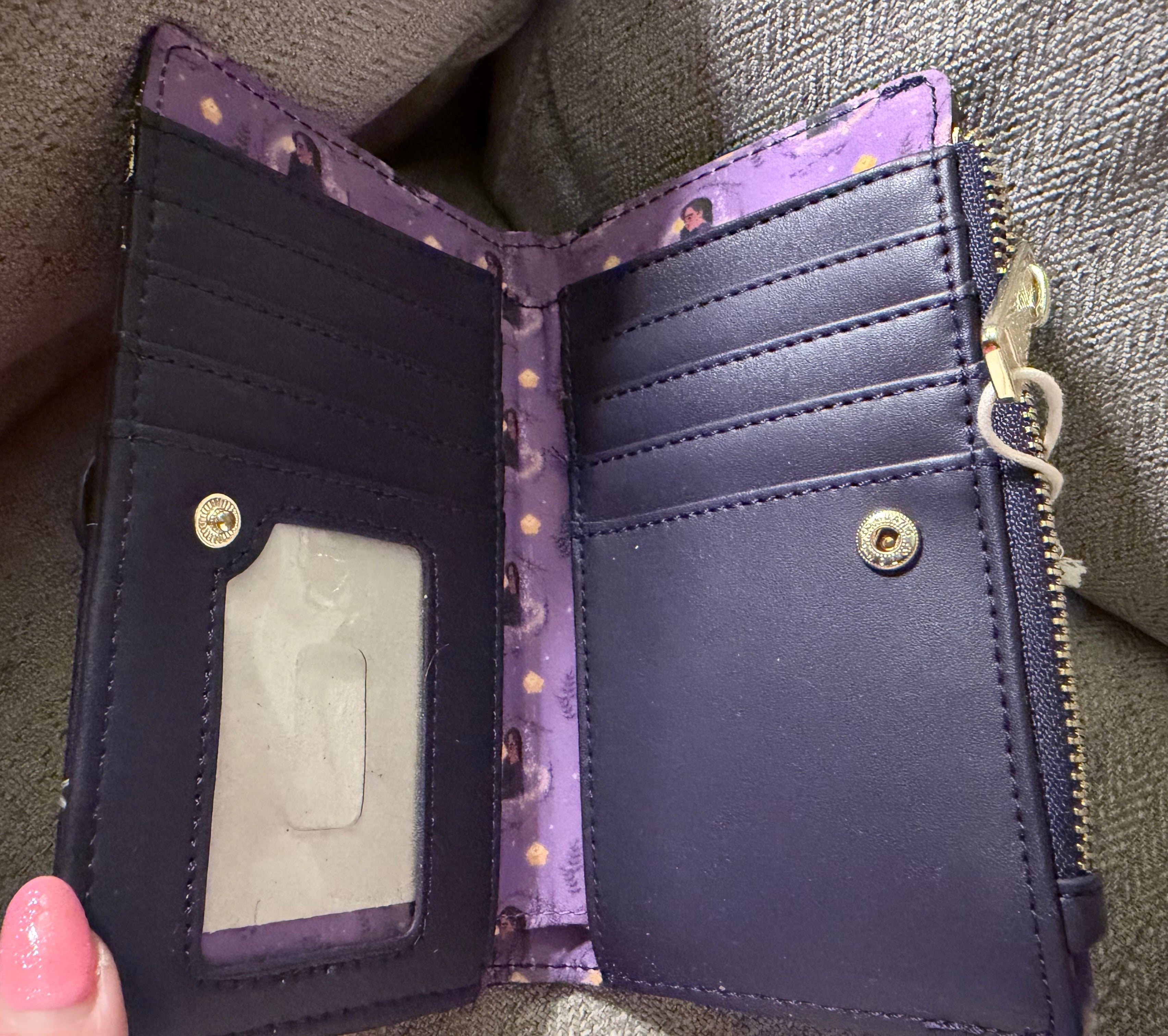 Disney Park Wish Loungefly Wallet/Purse