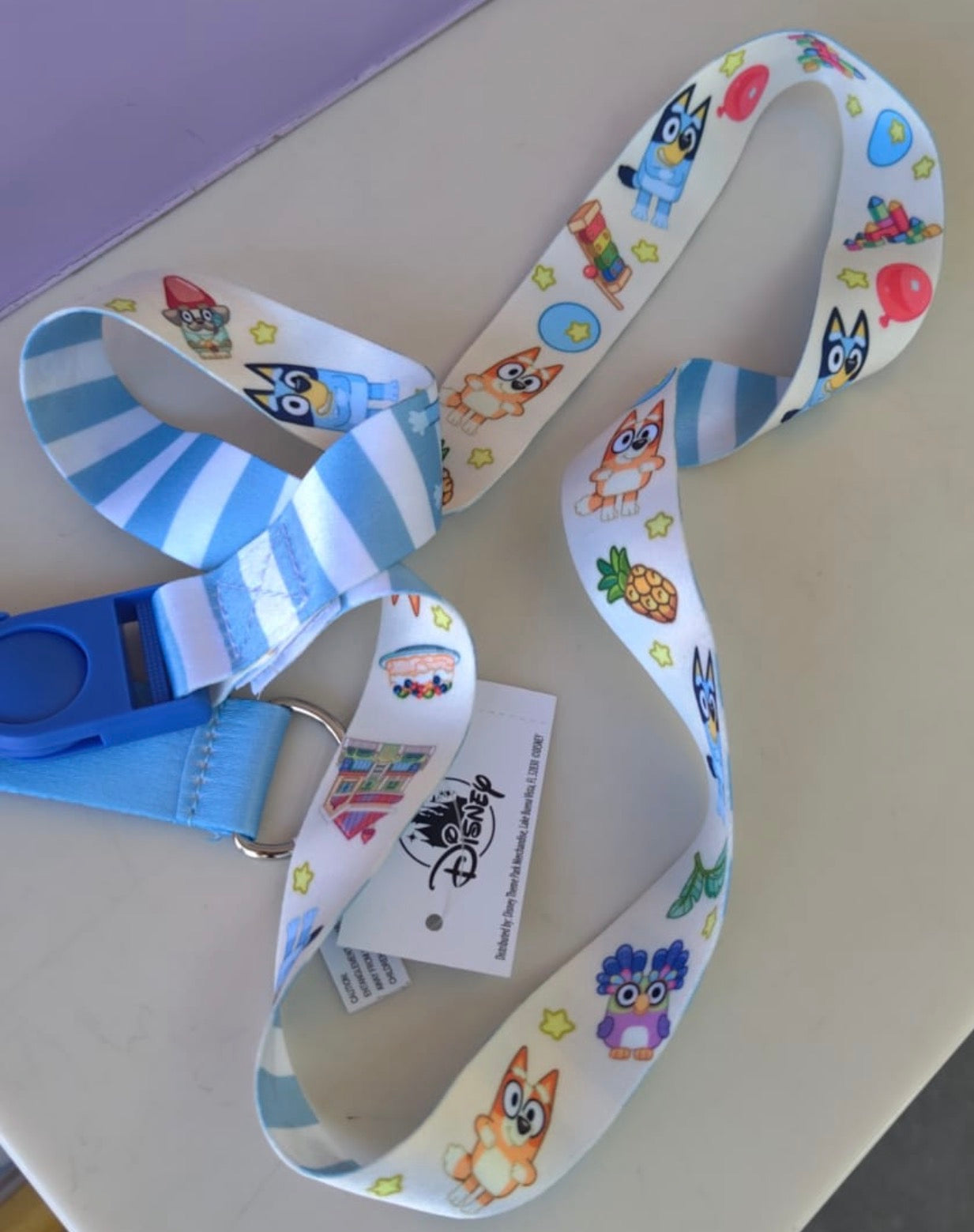 Bluey Lanyard