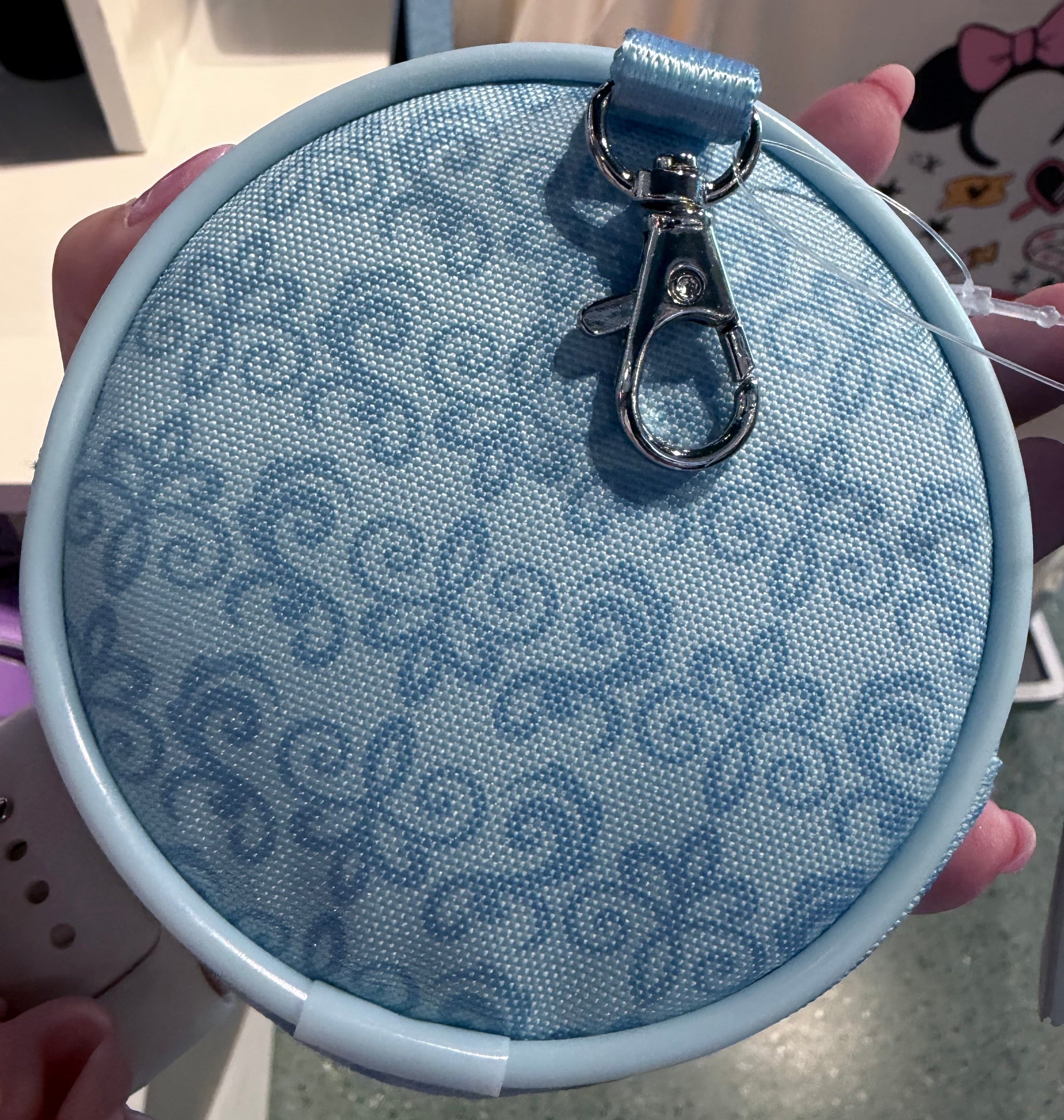 Living In A Fantasyland Coin Purse