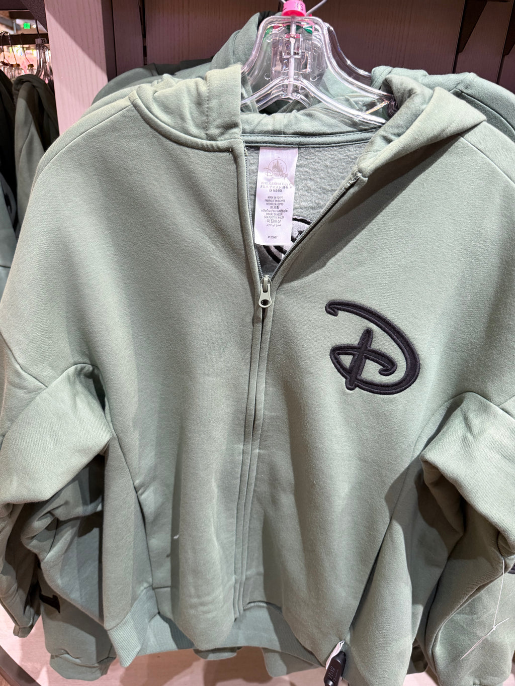 Walt Disney World Hoodie (in 4 colours)