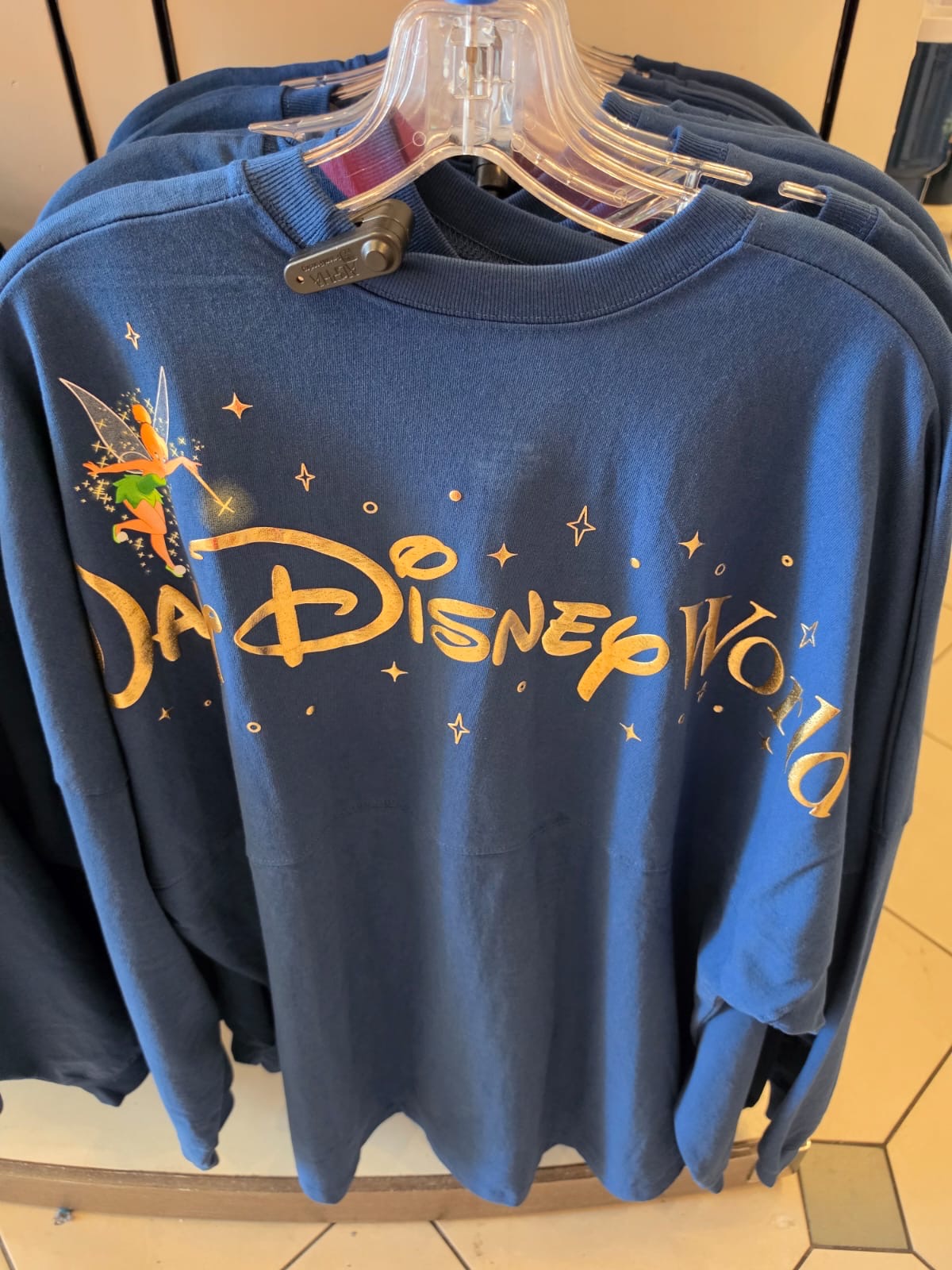 Walt Disney World Storybook Spirit Jersey