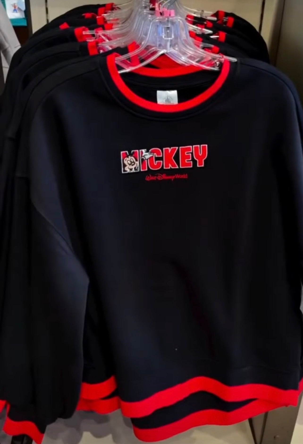 Mickey Walt Disney World Jumper