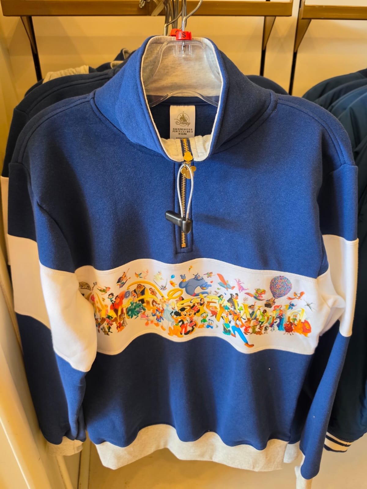 Walt Disney World Storybook Quarter Zip