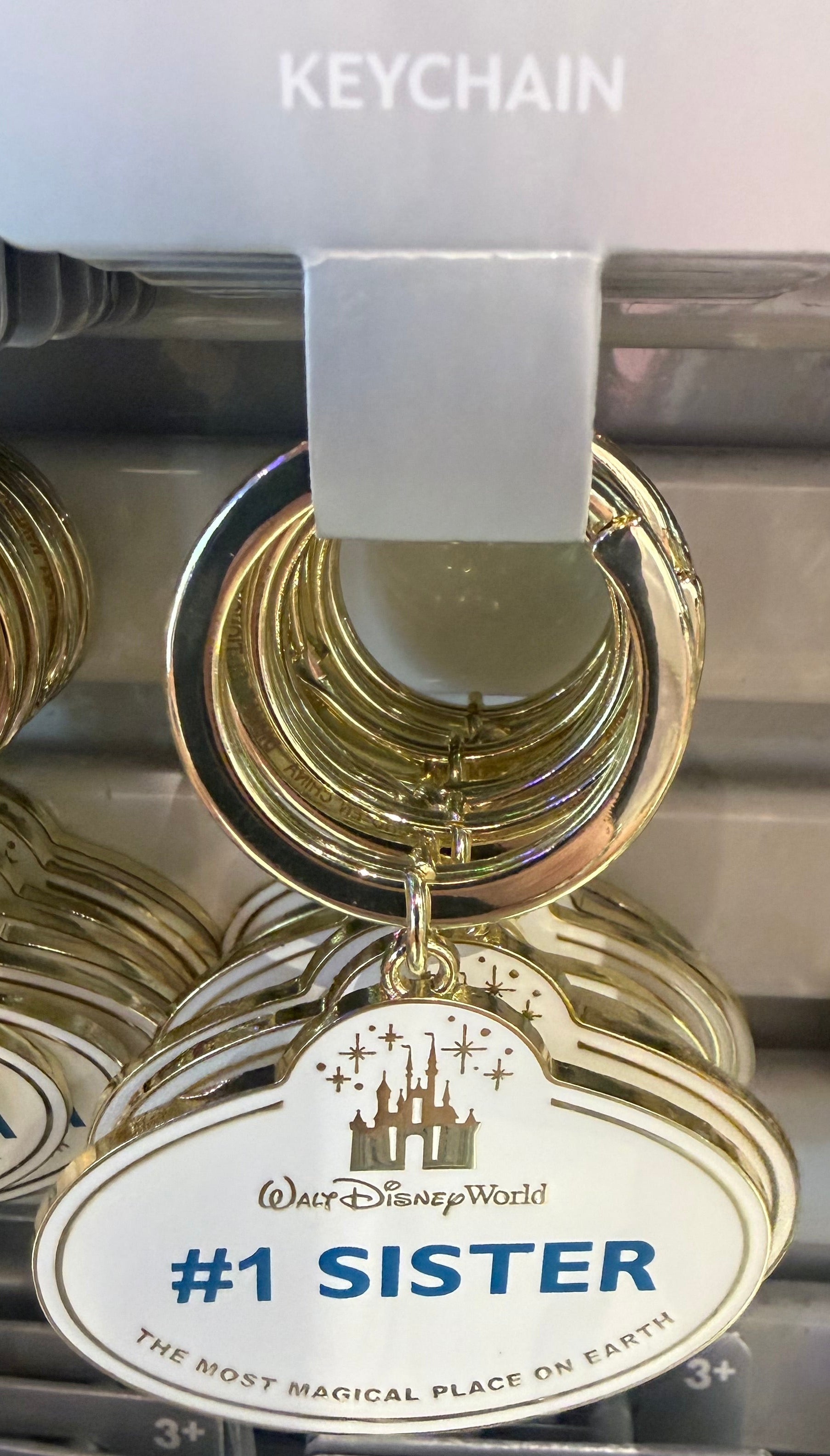 Walt Disney World Cast Member Keyring - 11 Styles Available