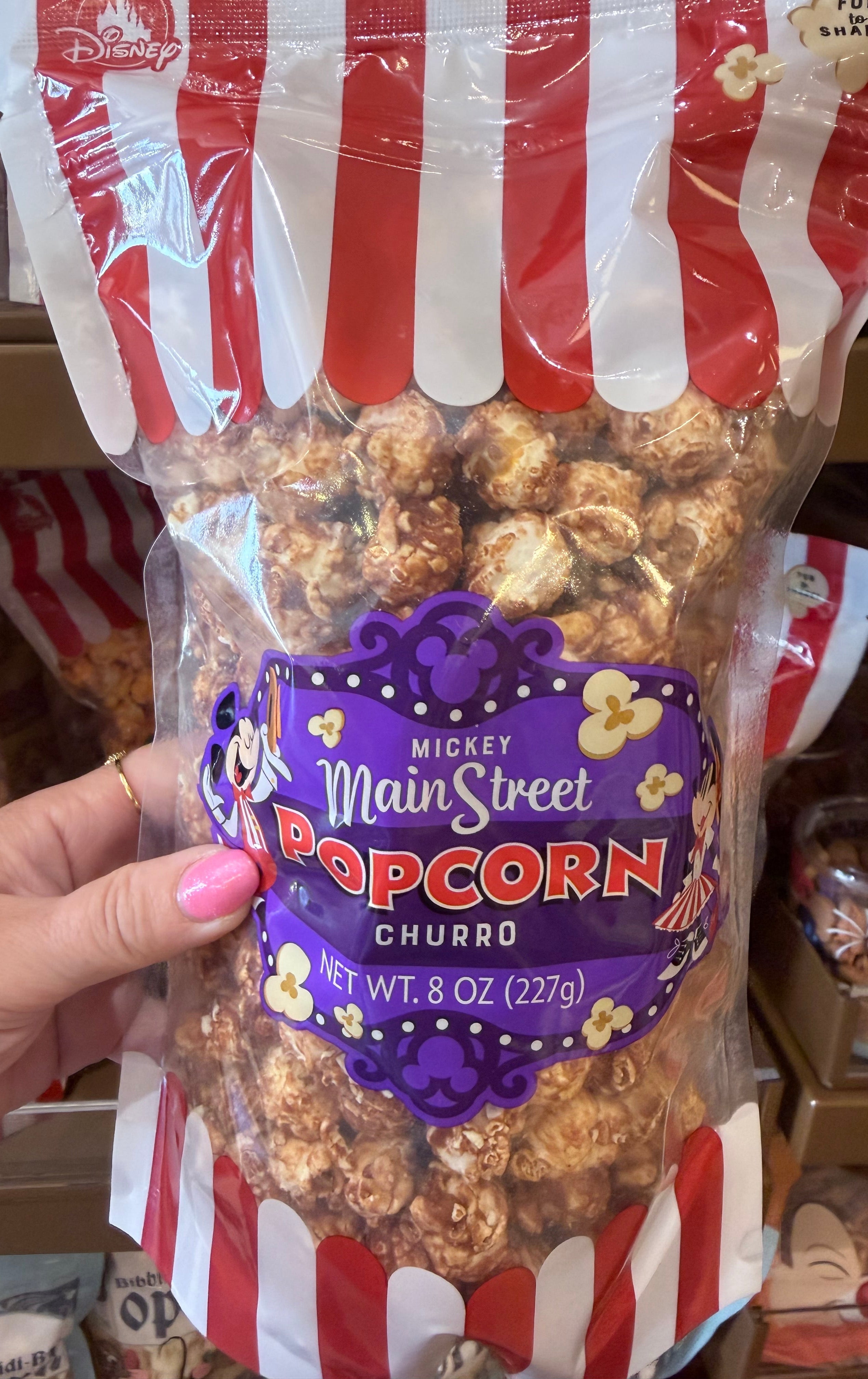 Main Street Churro Popcorn