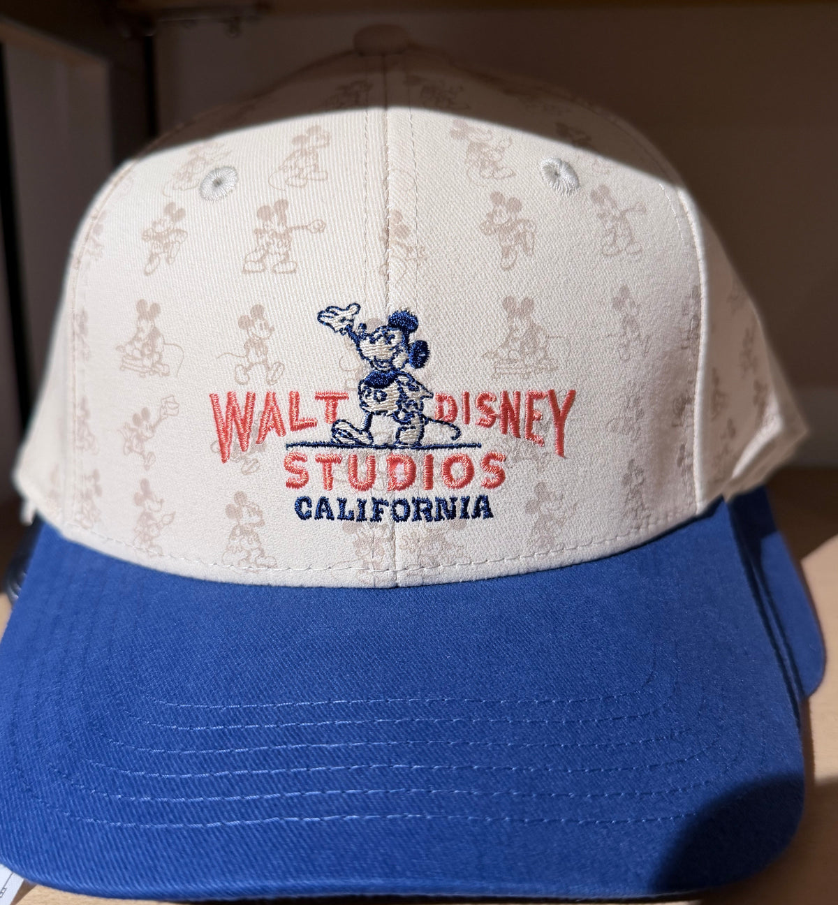 Walt Disney Studios Hat