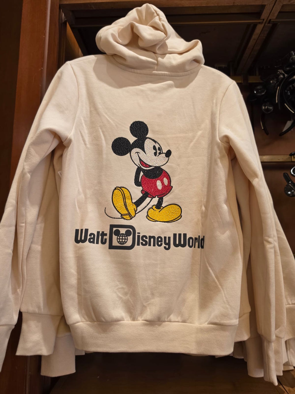 Walt Disney World - Mickey, Donald or Daisy Hoodie