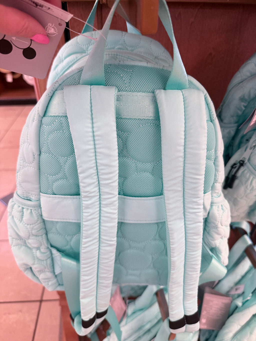 Light Blue Back Backpack