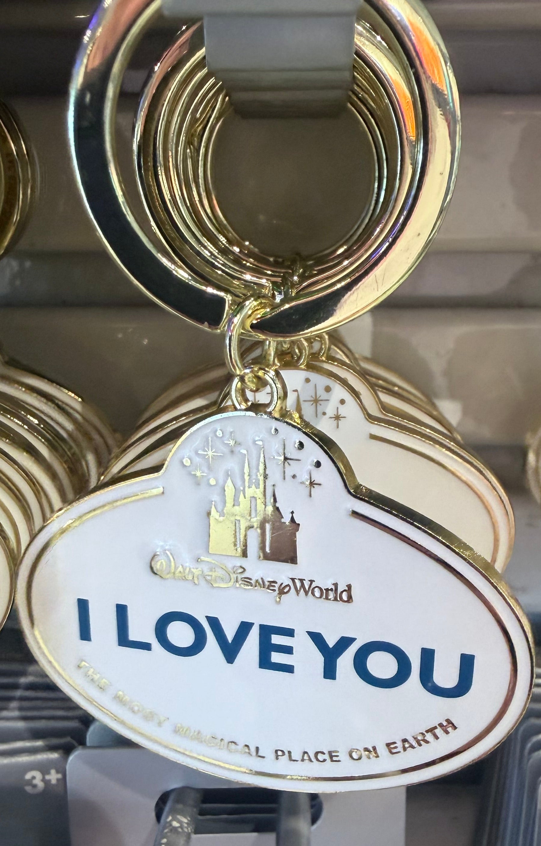 Walt Disney World Cast Member Keyring - 11 Styles Available