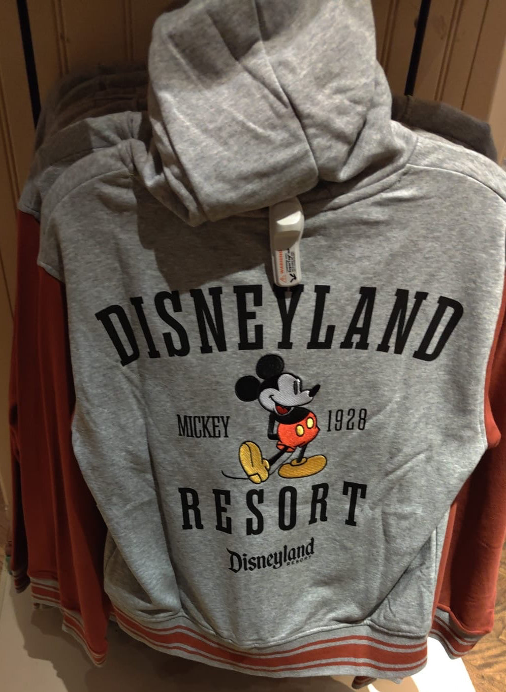 Disneyland Resort Hoodie - 3 Styles Available