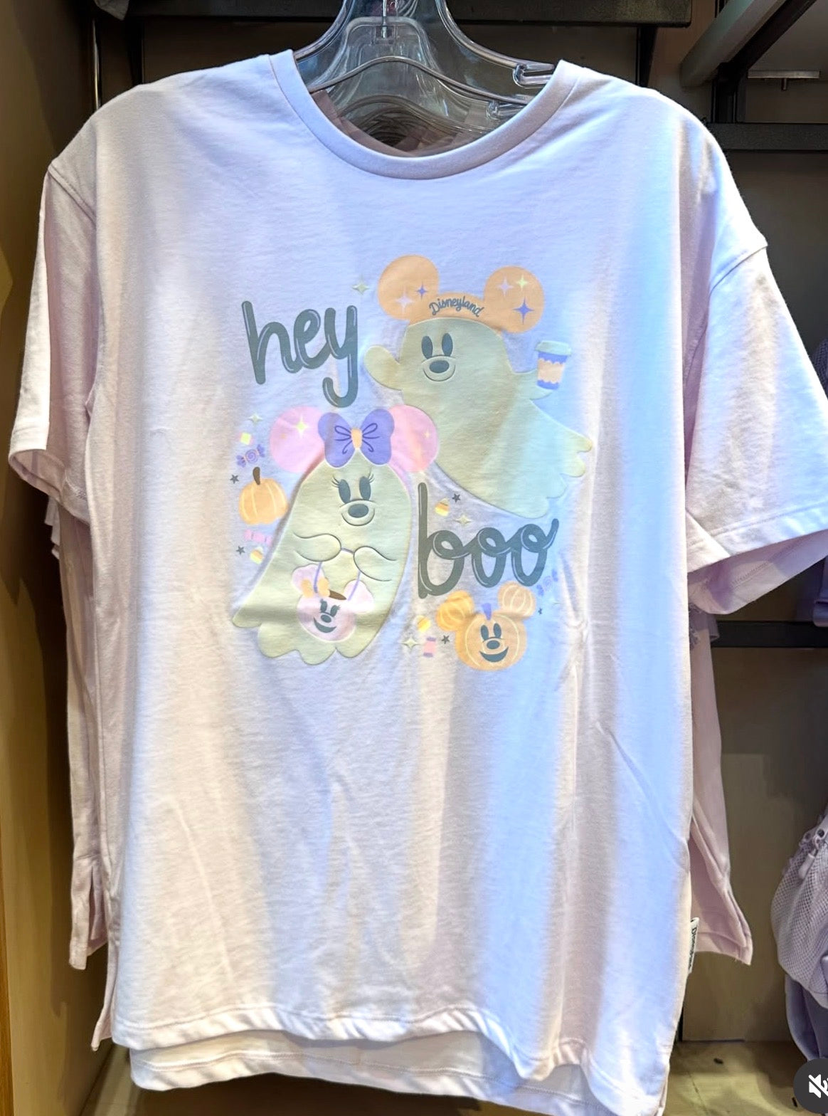 Disneyland Hey Boo T-shirt