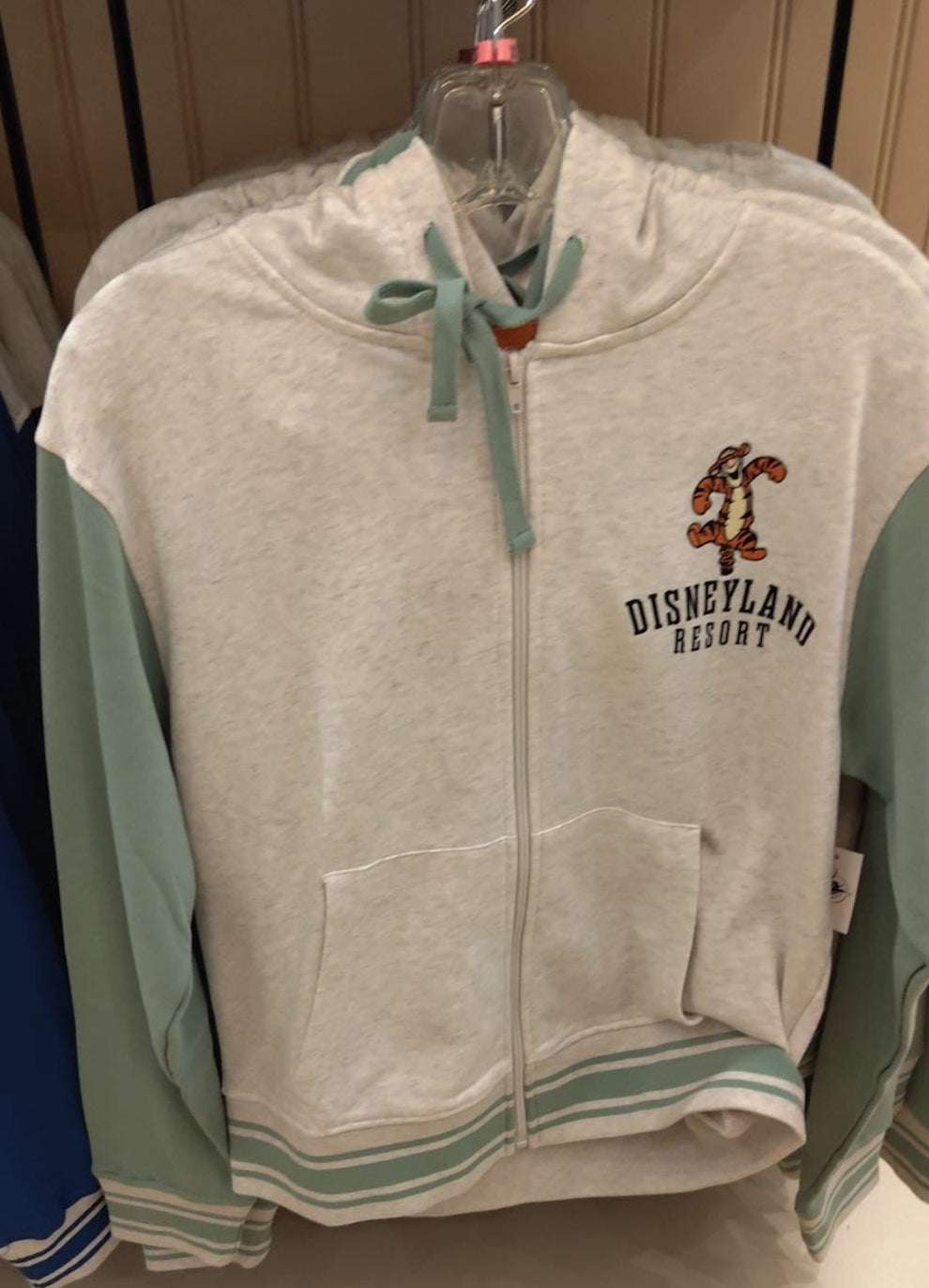 Disneyland Resort Hoodie - 3 Styles Available