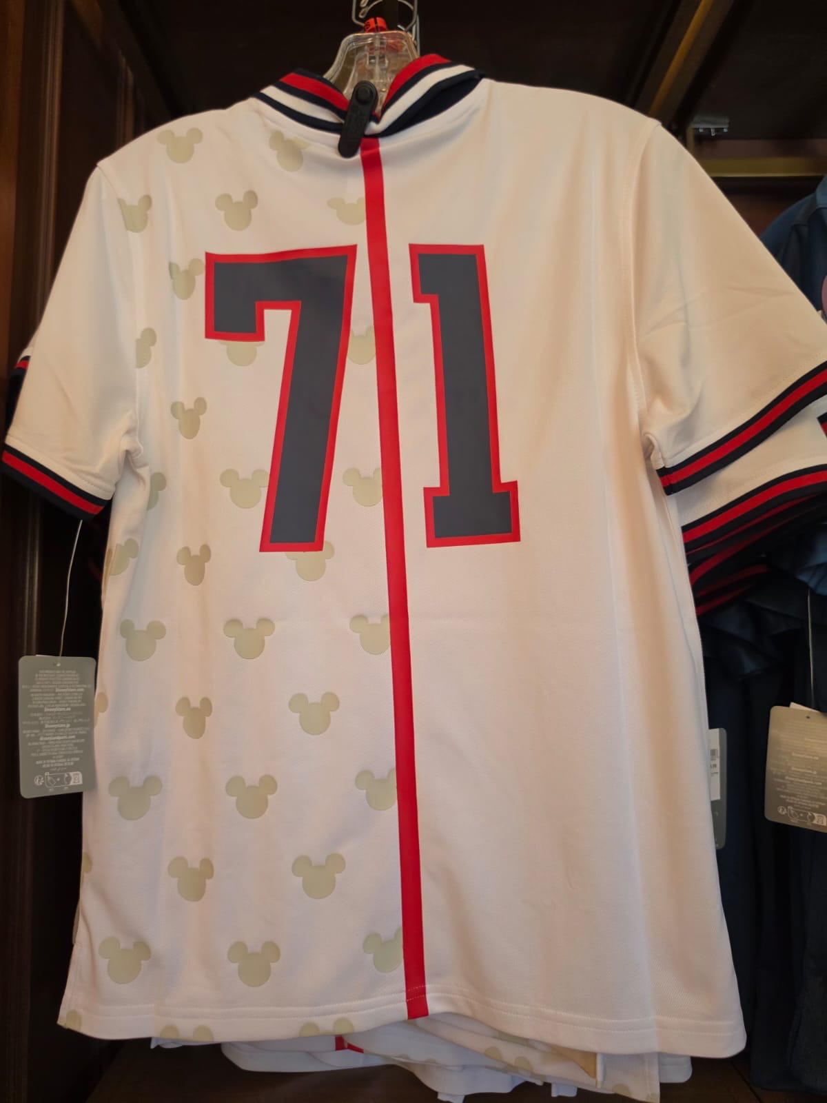 Walt Disney World USA Top