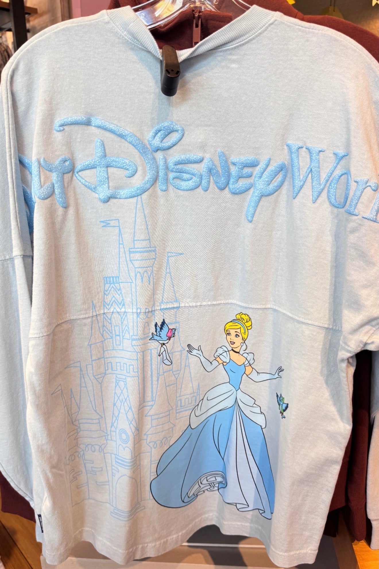 Walt Disney World Cinderella Spirit Jersey