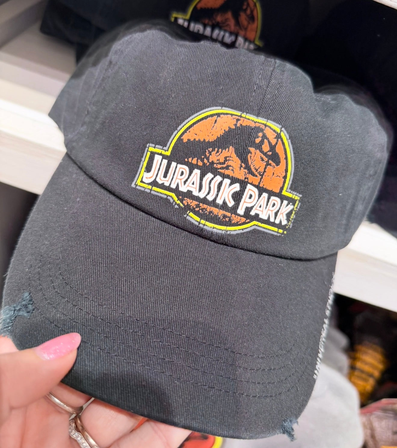 Jurassic Park Hat