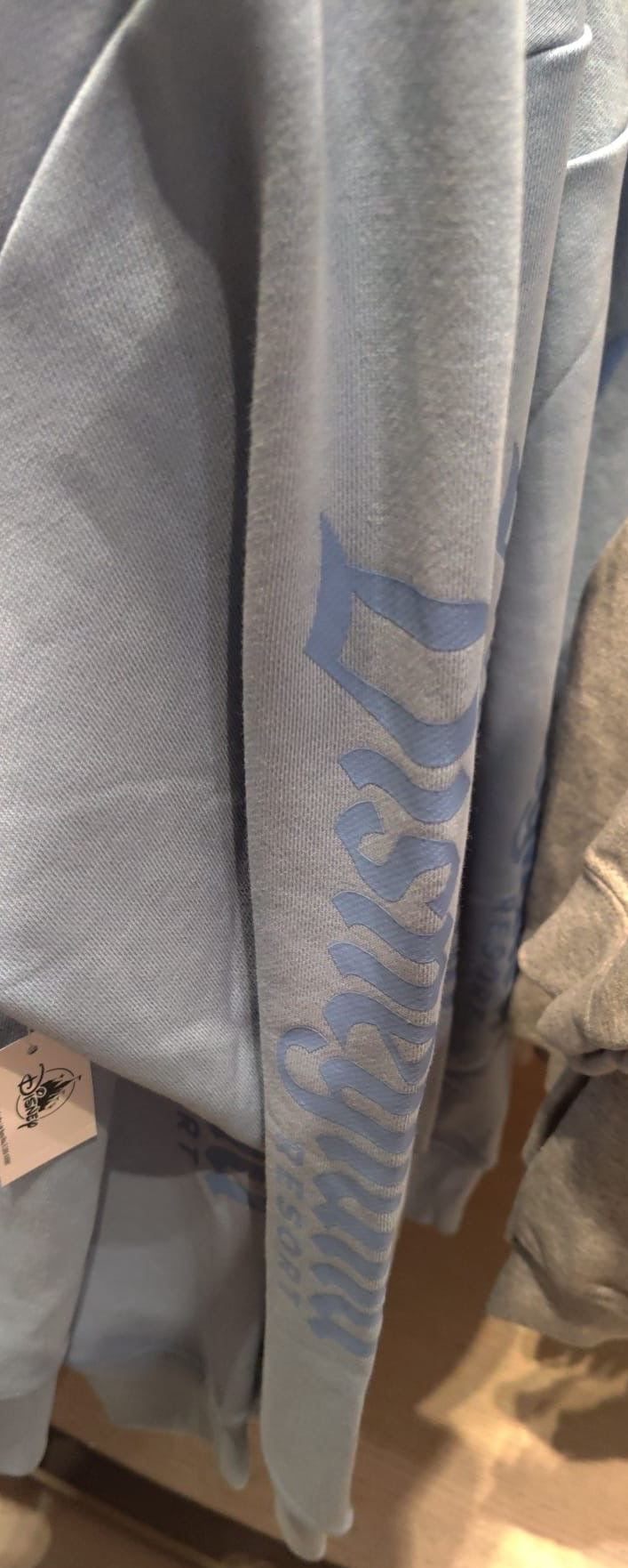 Disneyland Bluey Hoodie