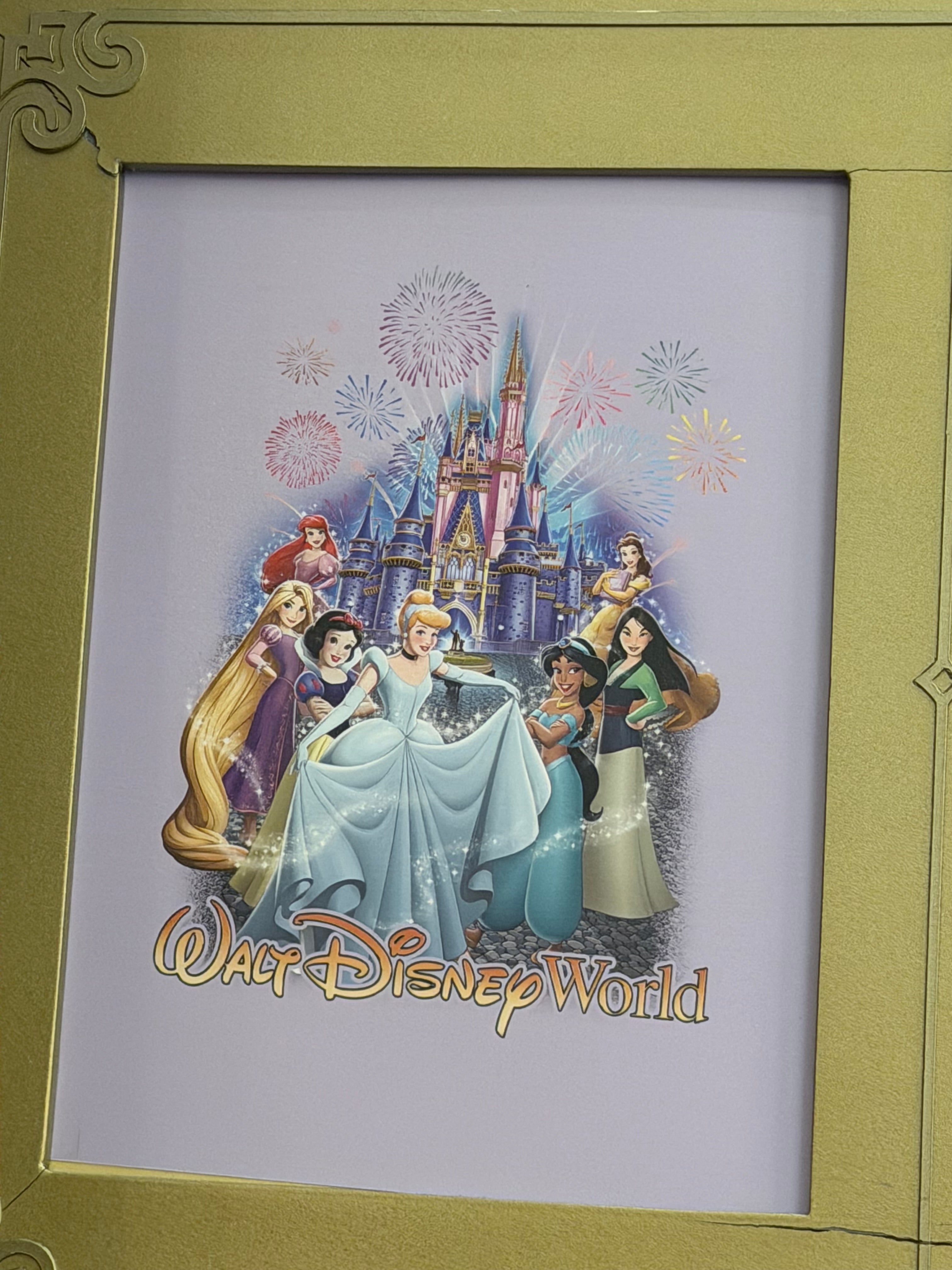 Walt Disney World Character T-shirts 31 Designs
