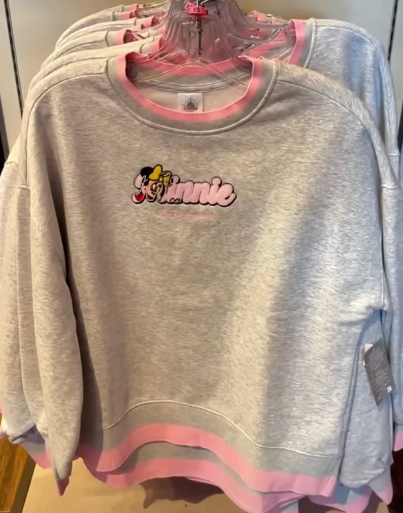 Minnie Walt Disney World Jumper