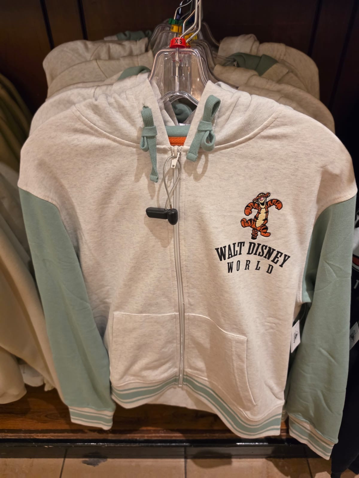 Walt Disney World Hoodie