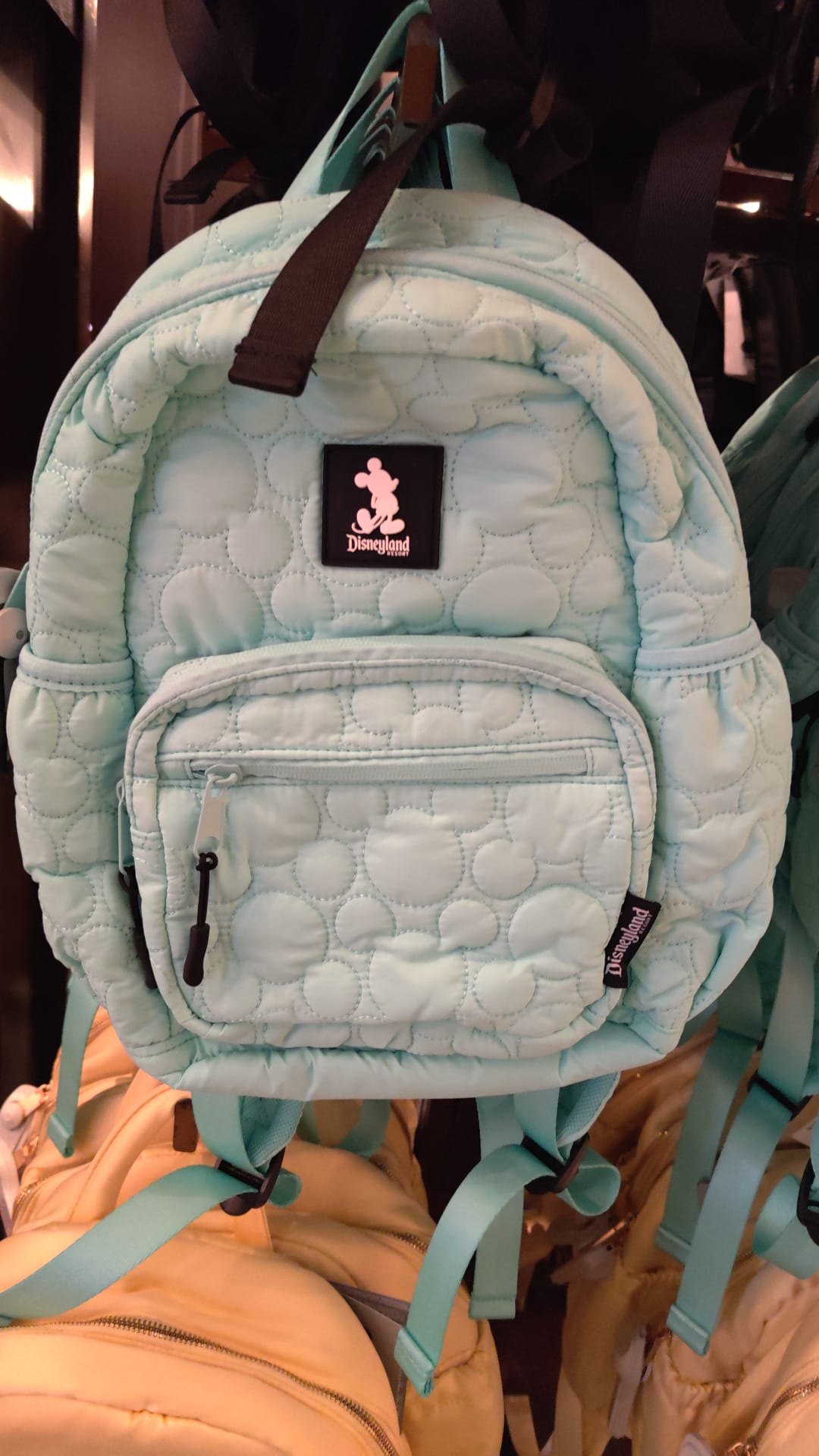 Disneyland Light Blue Back Backpack