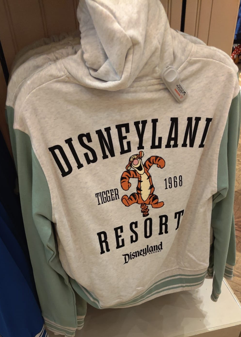 Disneyland Resort Hoodie - 3 Styles Available
