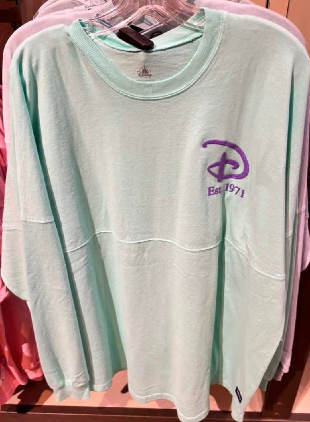 Walt Disney World Ariel Spirit Jersey
