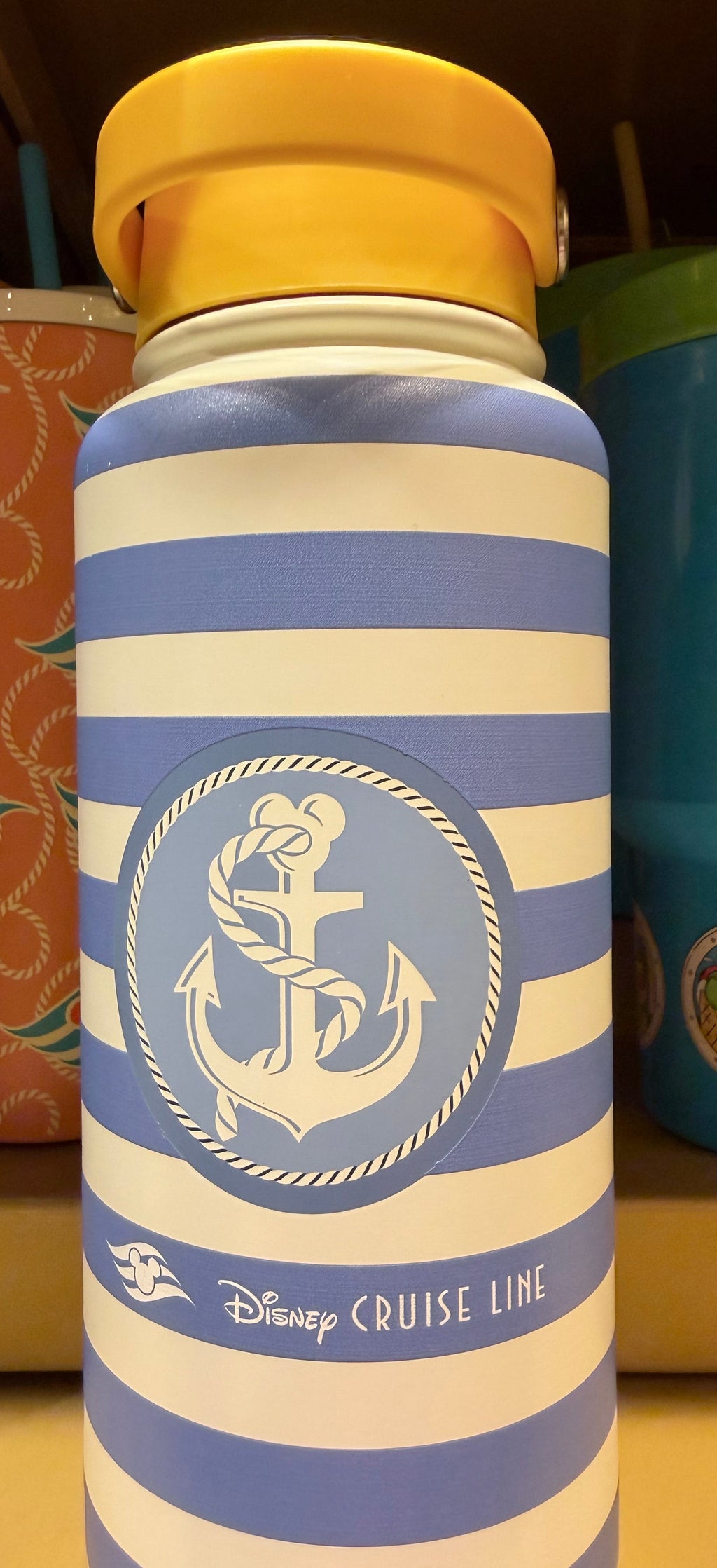 Donald Duck Water Bottle