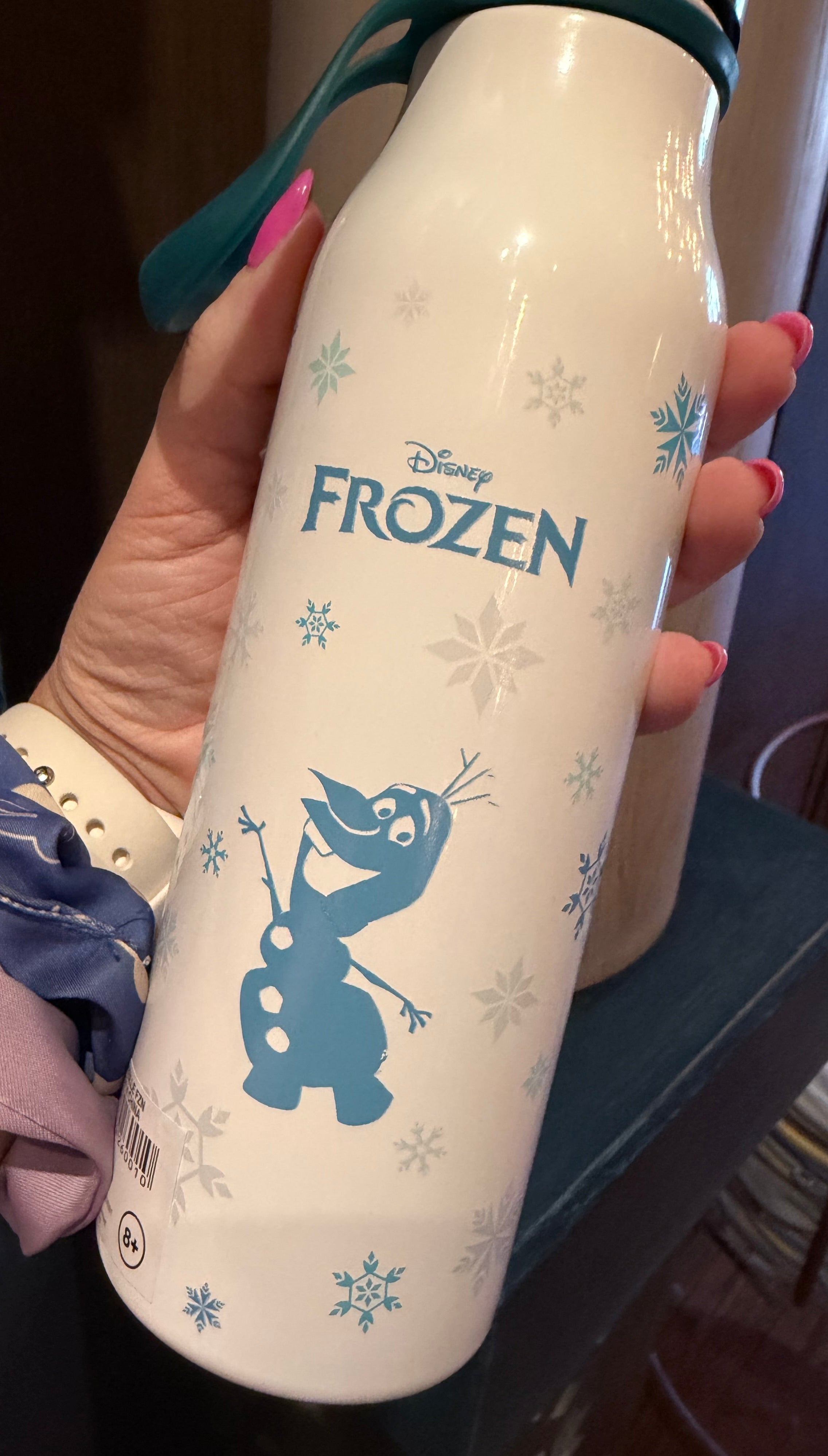 Disneyland Paris Frozen Water Bottle