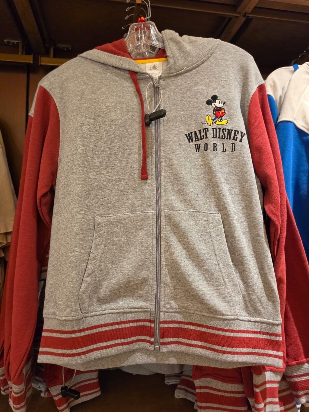 Walt Disney World Hoodie