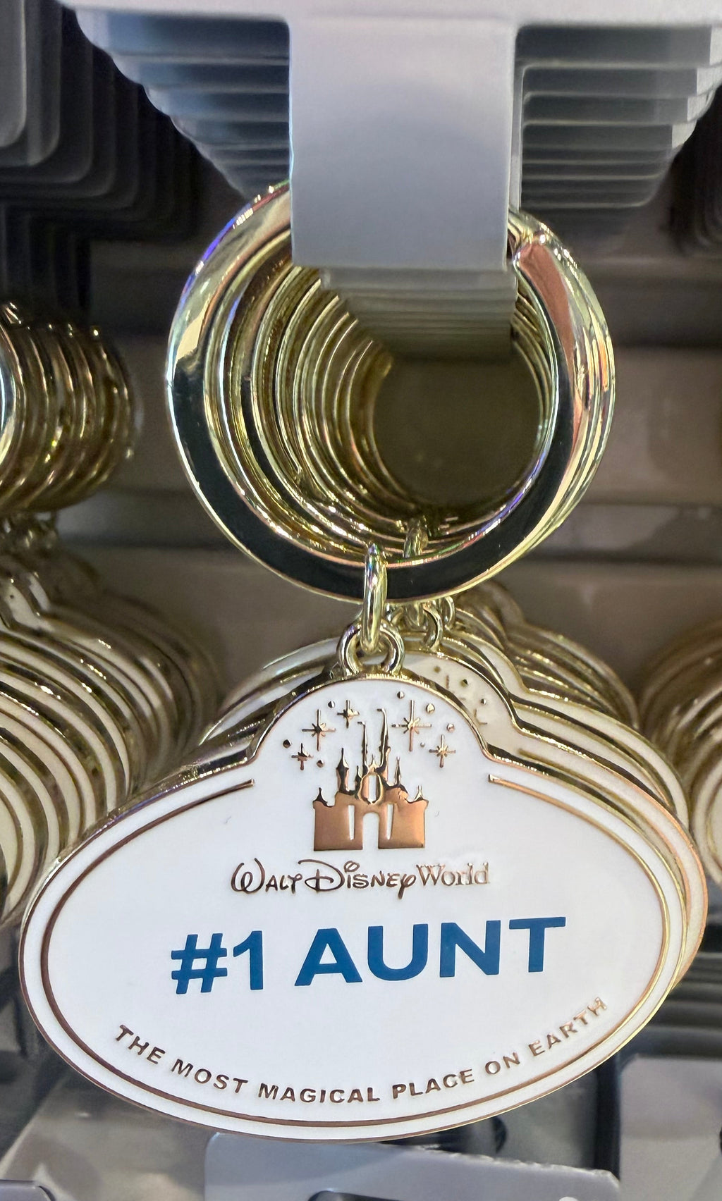 Walt Disney World Cast Member Keyring - 11 Styles Available