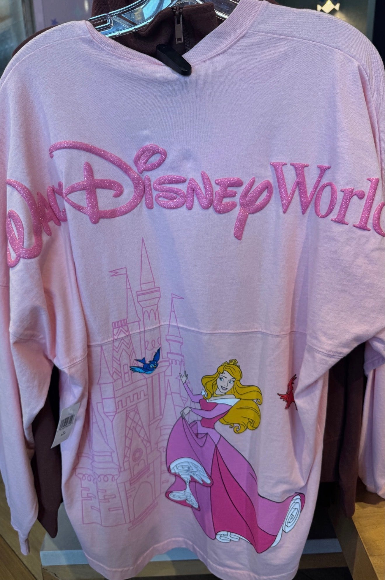Walt Disney World Aurora Spirit Jersey