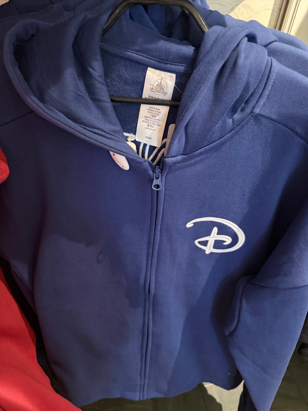 Disneyland Paris Hoodie