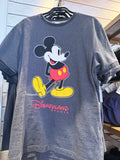 Disneyland Paris Character T-Shirt - 2 Styles Available