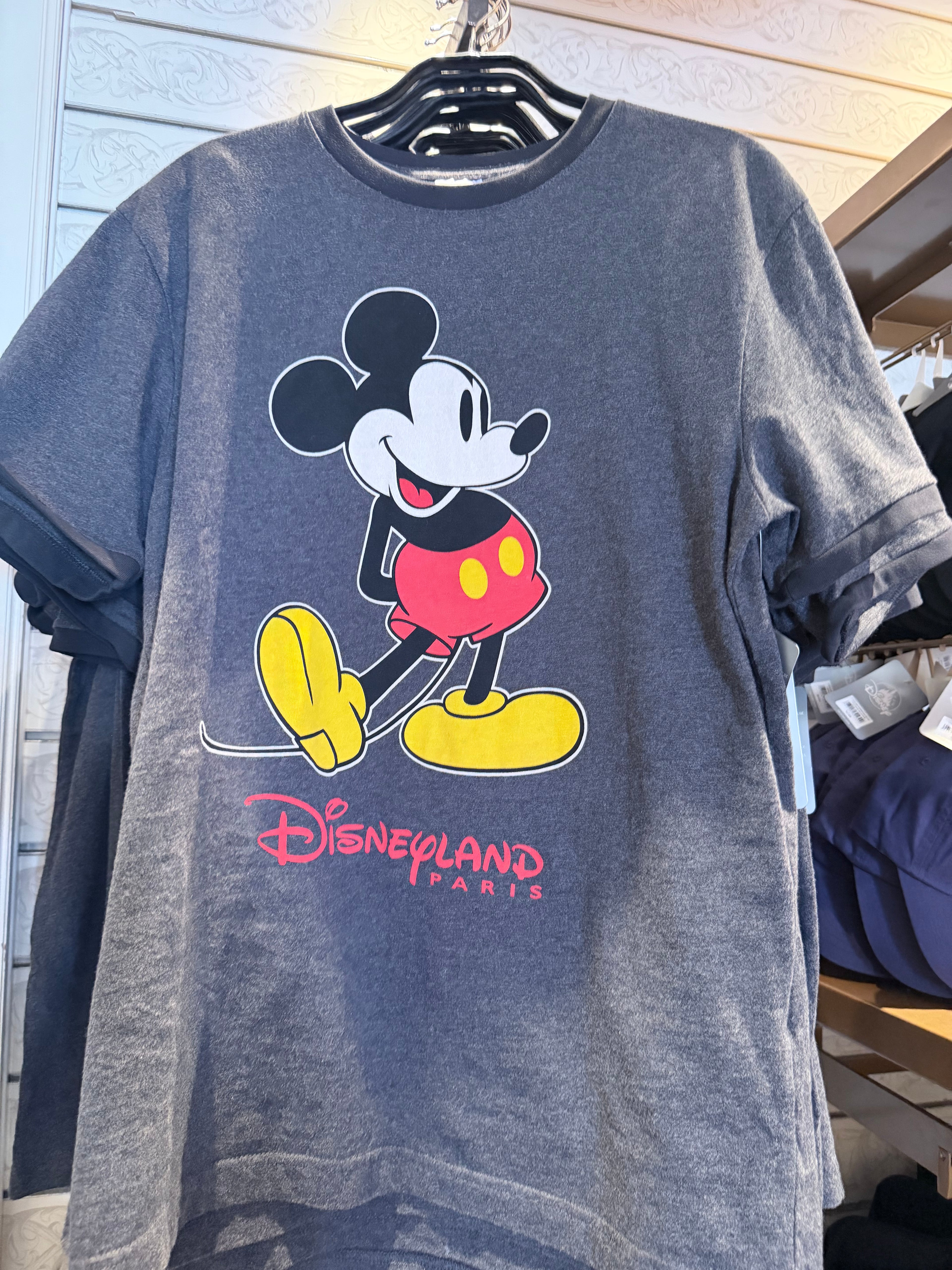Disneyland Paris Character T-Shirt - 2 Styles Available