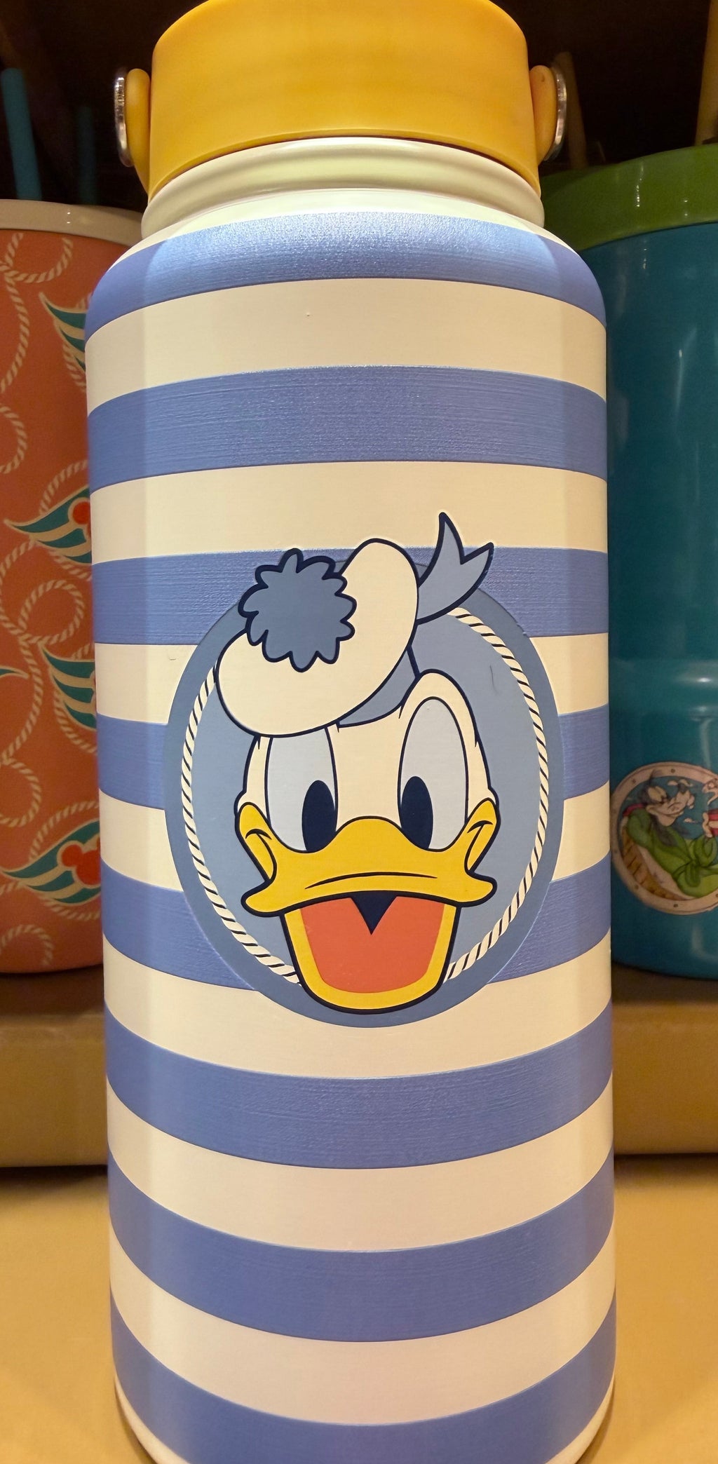Donald Duck Water Bottle