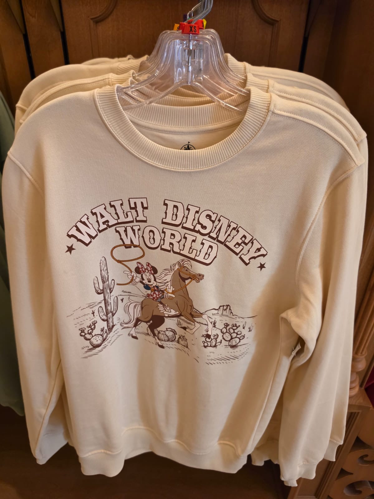 Walt Disney World Minnie Jumper